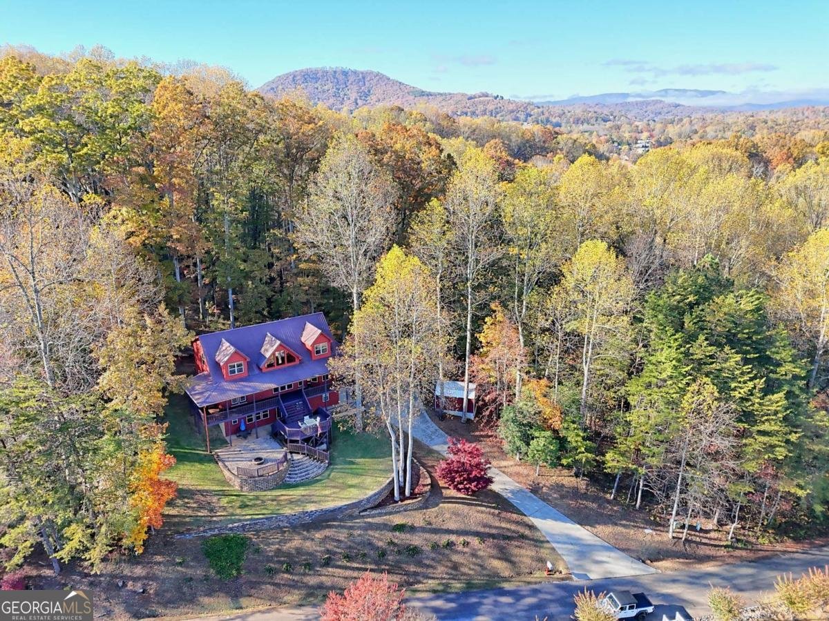 1929 Lakeview Summit Drive Young Harris - 73