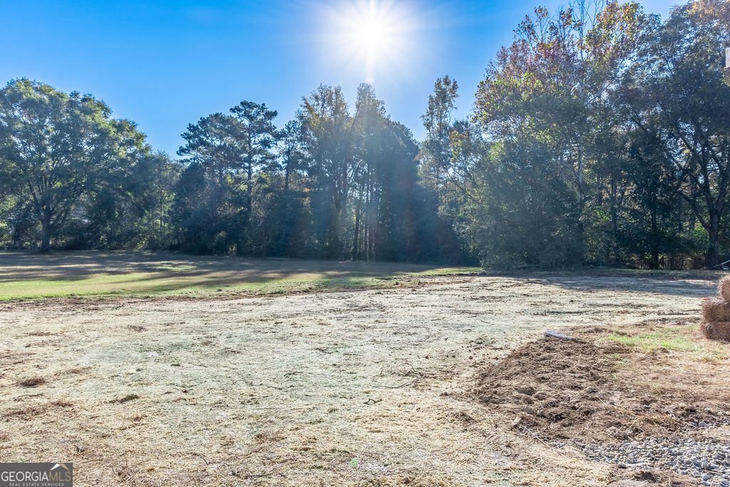 855 E Lanier Avenue Fayetteville - Photo 30