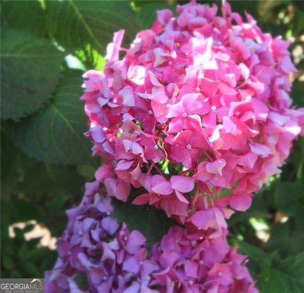 584 Cherokee Street Marietta - 17