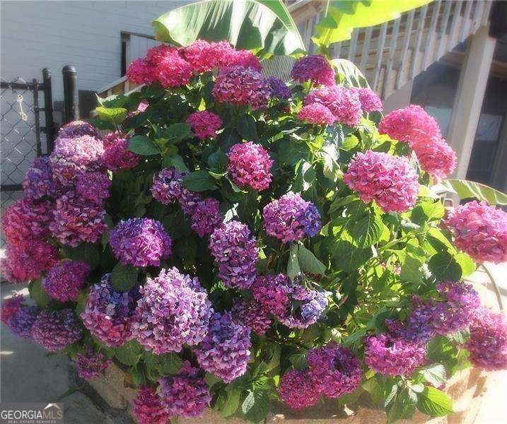 584 Cherokee Street Marietta - 18