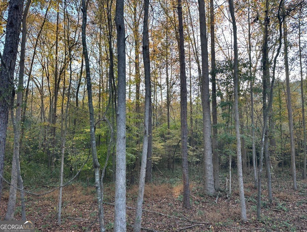 6587 Brockton Road Nicholson - 13