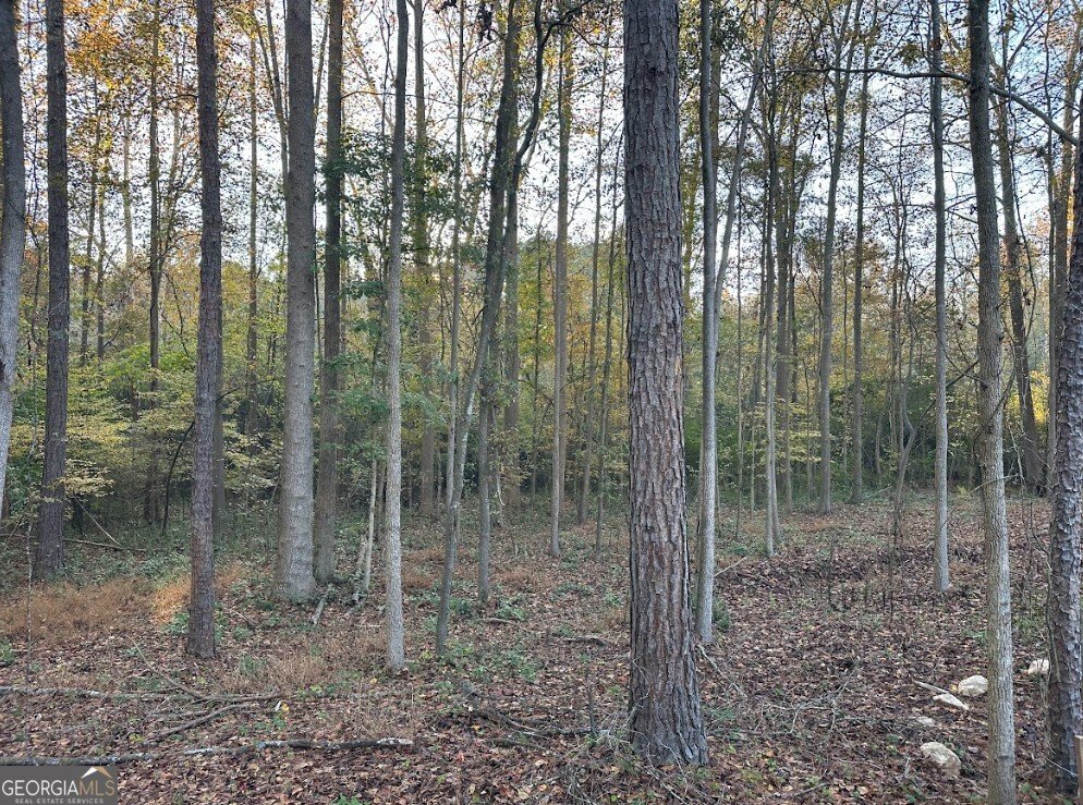 6587 Brockton Road Nicholson - 14