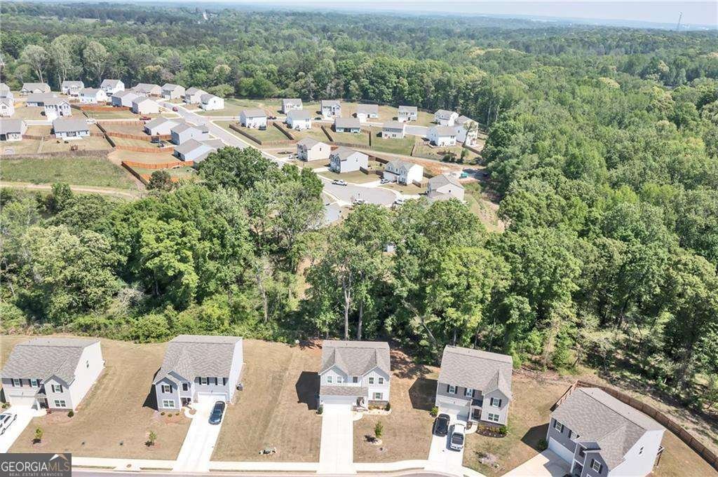 289 Pond Court Hoschton - 31