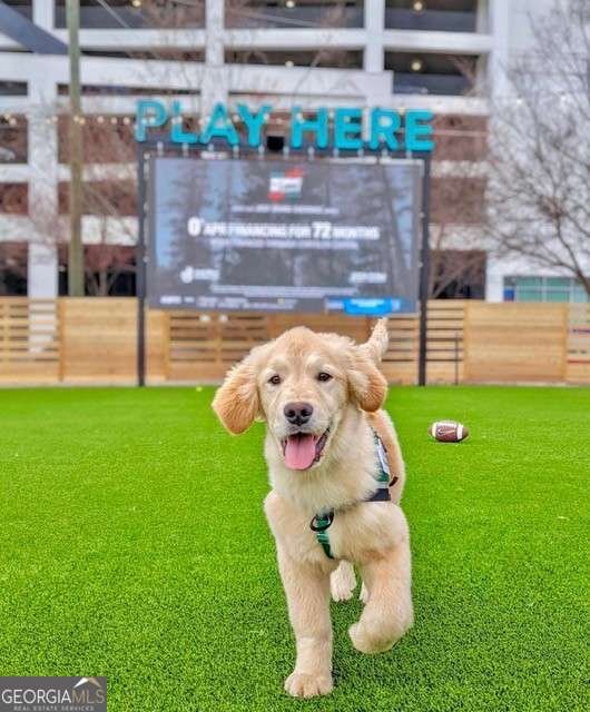 144 Woodhaven Way Alpharetta - 46