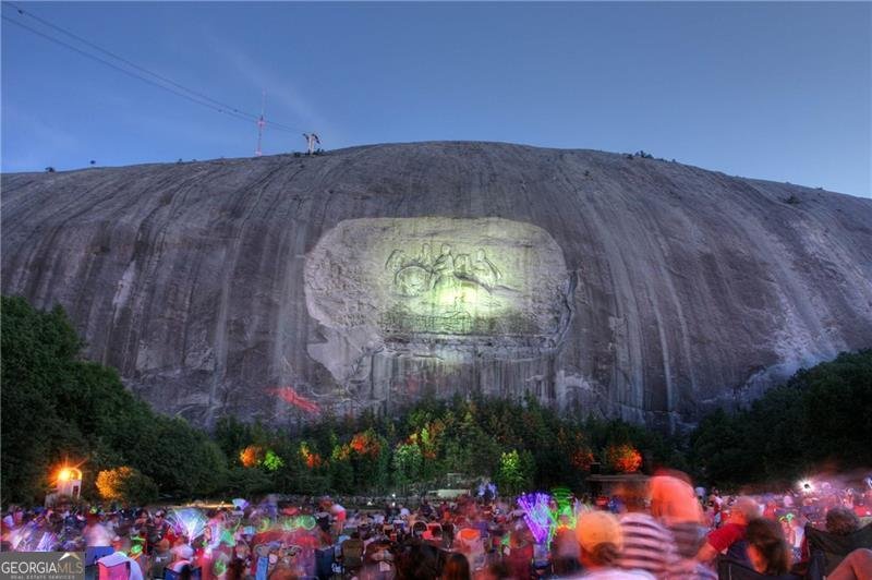 1857 Oak Hill Springs Boulevard Lithonia - 58