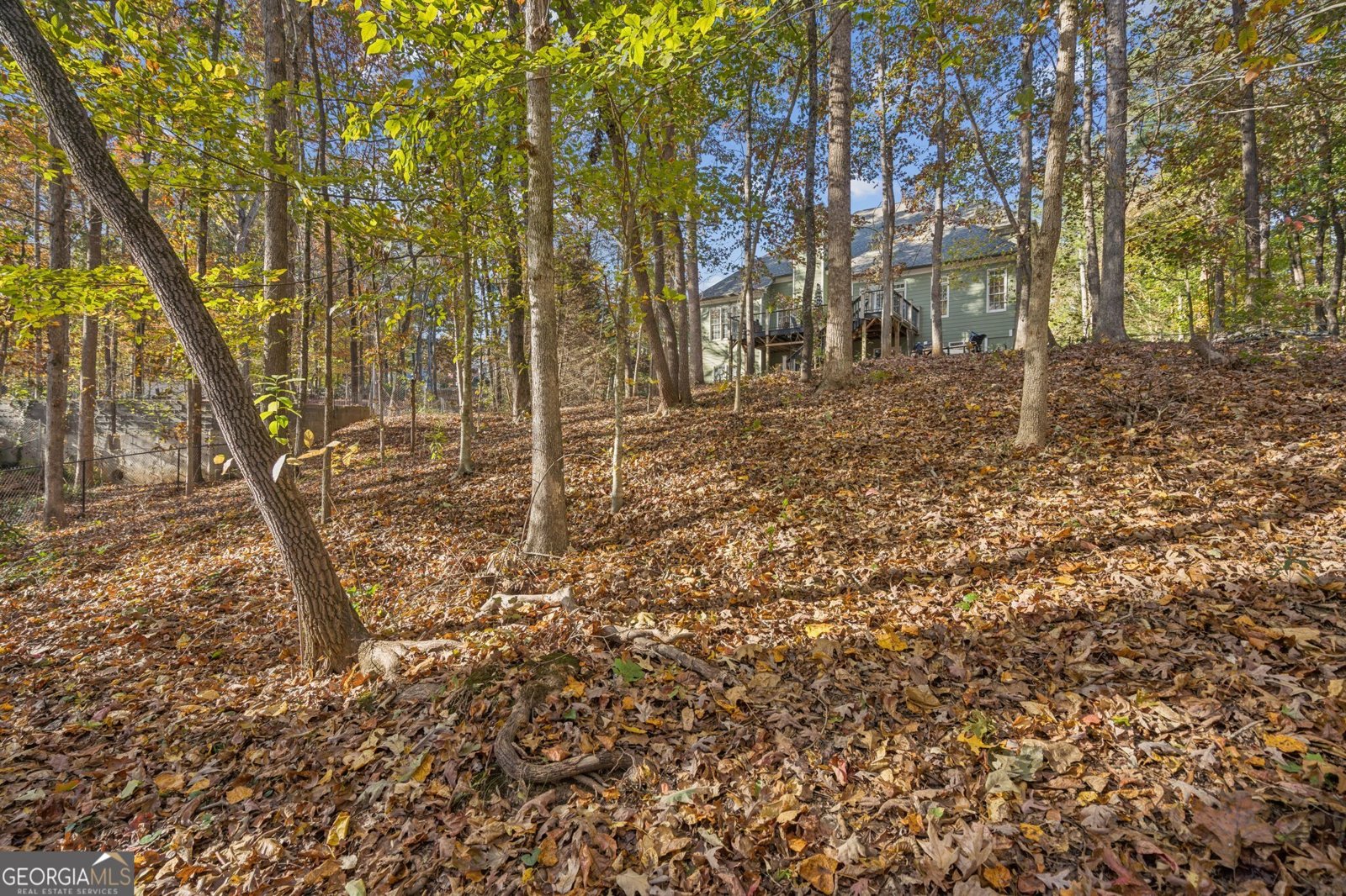 8160 Willow Point Gainesville - 42