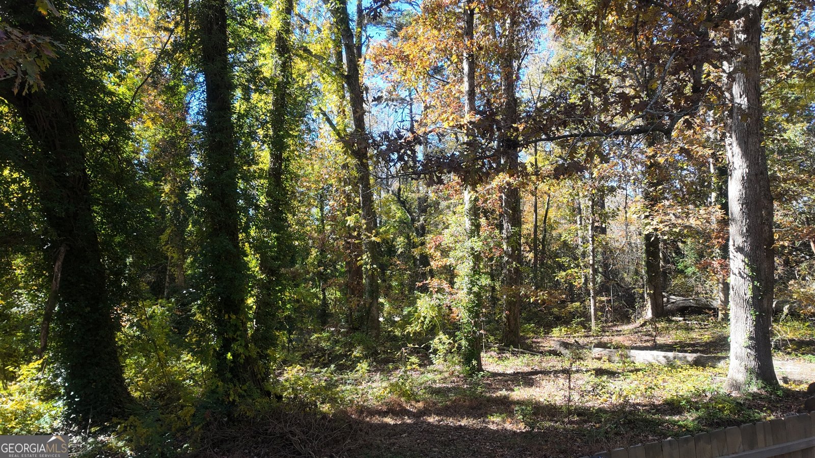 164 Weeping Willow Drive Clarkesville - 22