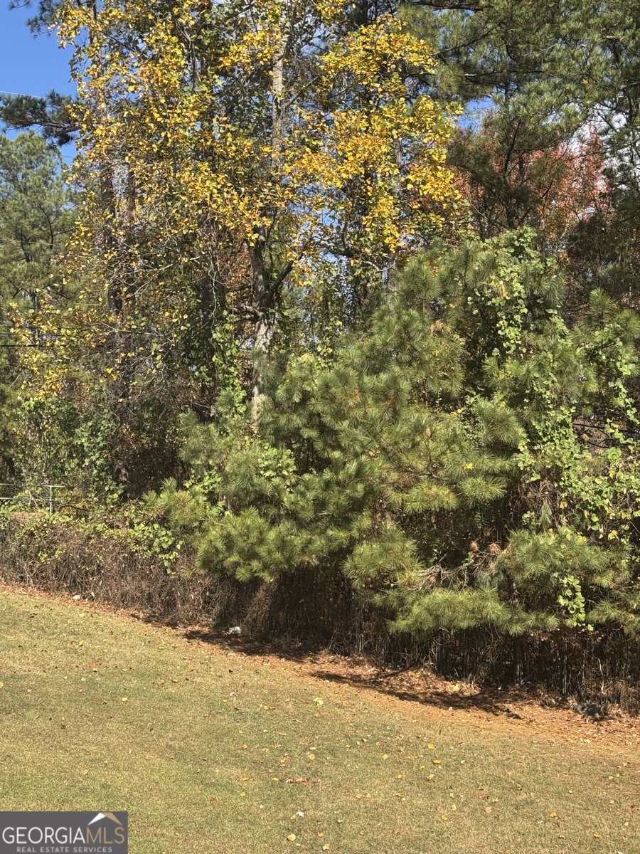 7712 Autry Circle Douglasville - 24