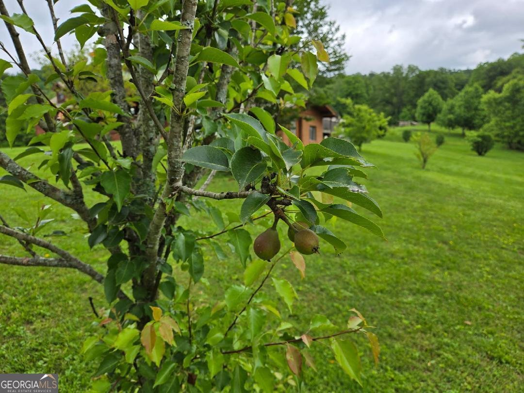 4253 Swallows Creek Road Hiawassee - 21