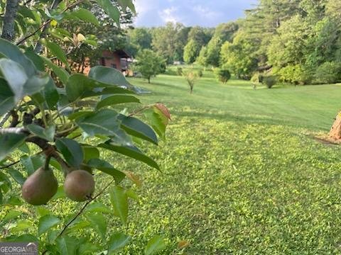 4253 Swallows Creek Road Hiawassee - 22