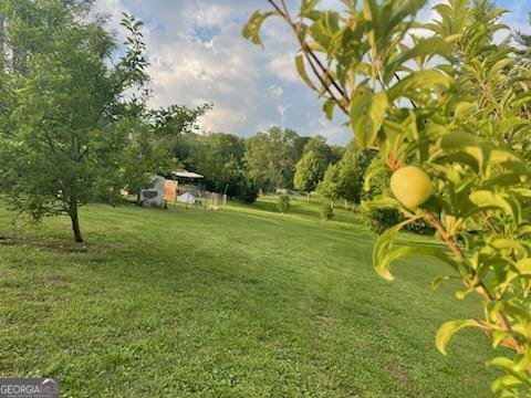 4253 Swallows Creek Road Hiawassee - 23