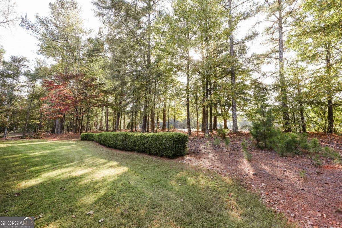 1410 Lane Creek Drive Bishop - 13