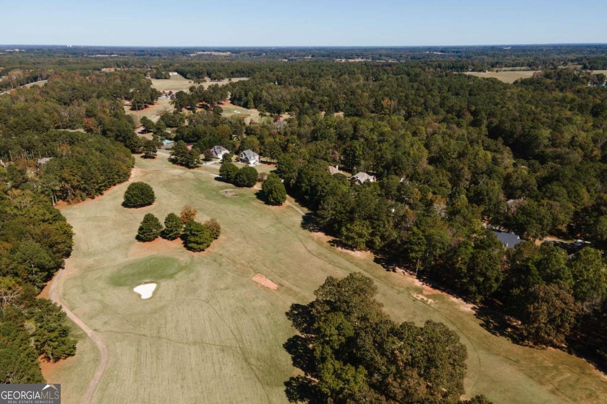 1410 Lane Creek Drive Bishop - 29