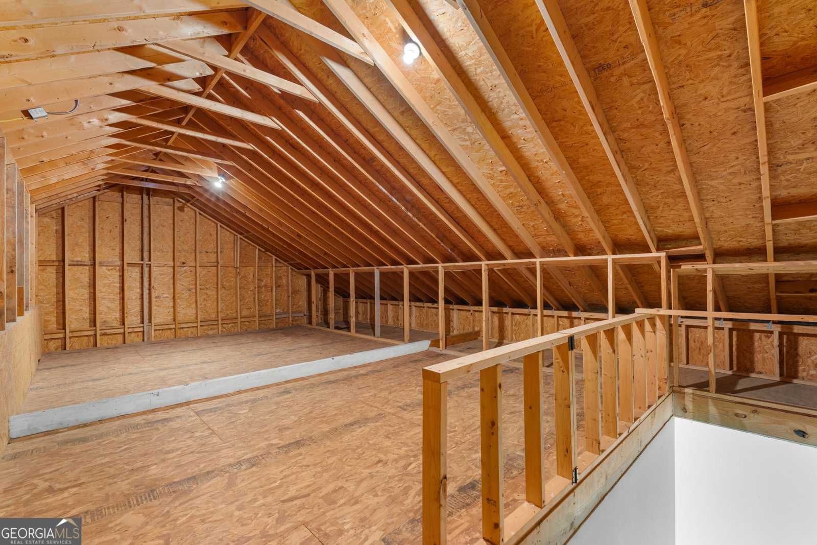 1238 Hampton Drive Statesboro - 50