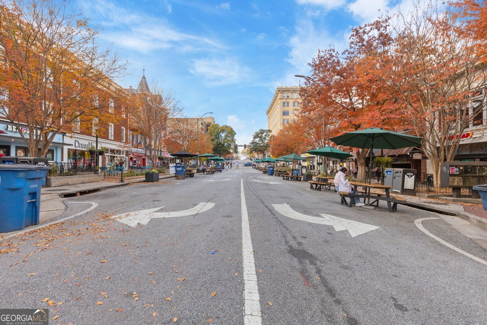 315 Summerville Lane Athens - 71