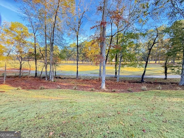 1159 Winged Foot Drive Greensboro - 19