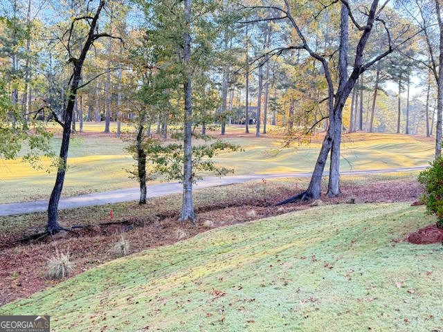 1159 Winged Foot Drive Greensboro - 34