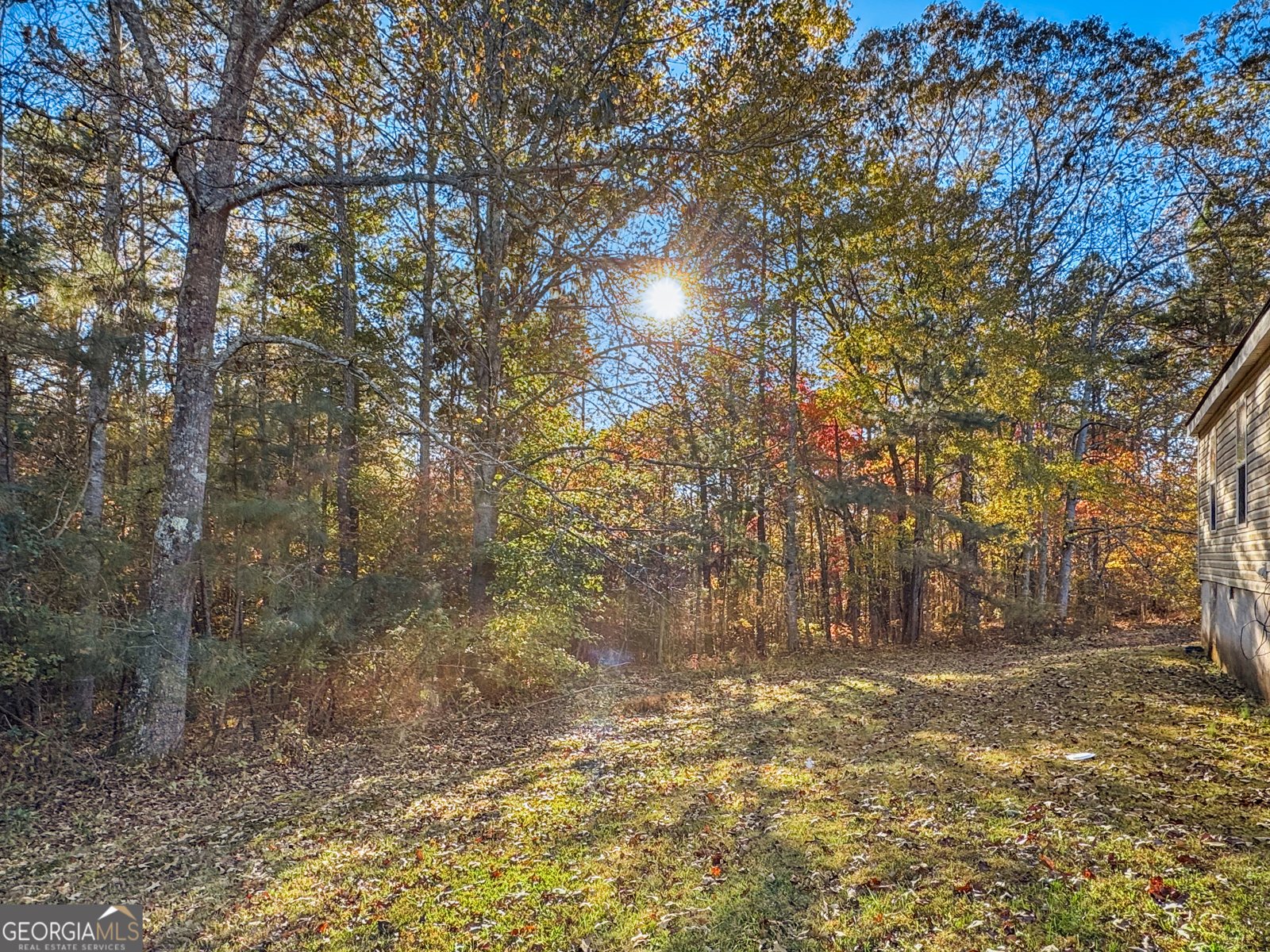 230 Surrett Road Buchanan - 15