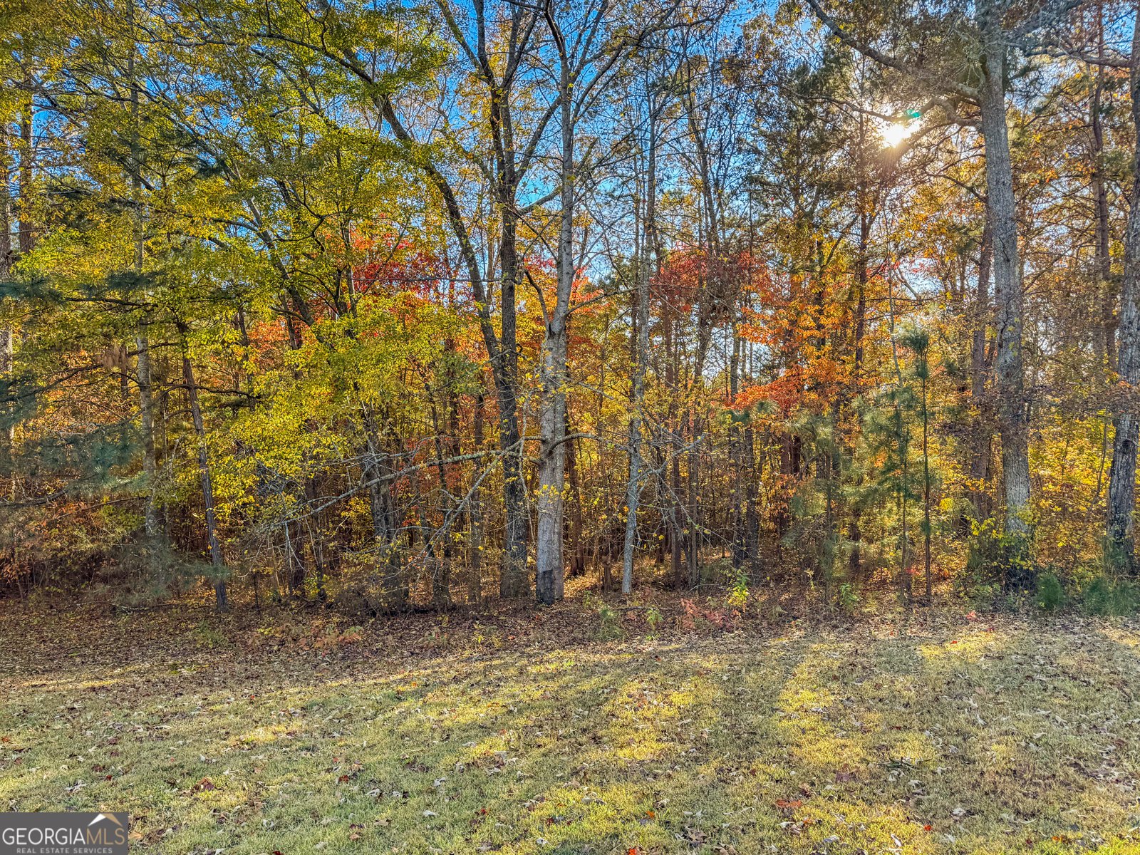 230 Surrett Road Buchanan - 18