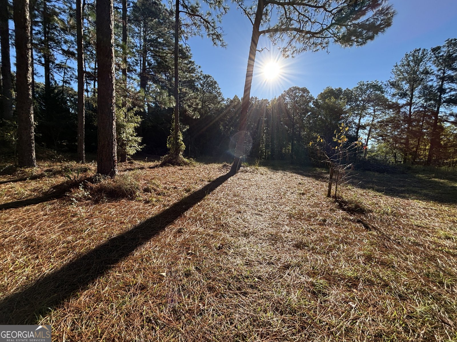 319 Country Club Road Cochran - 57