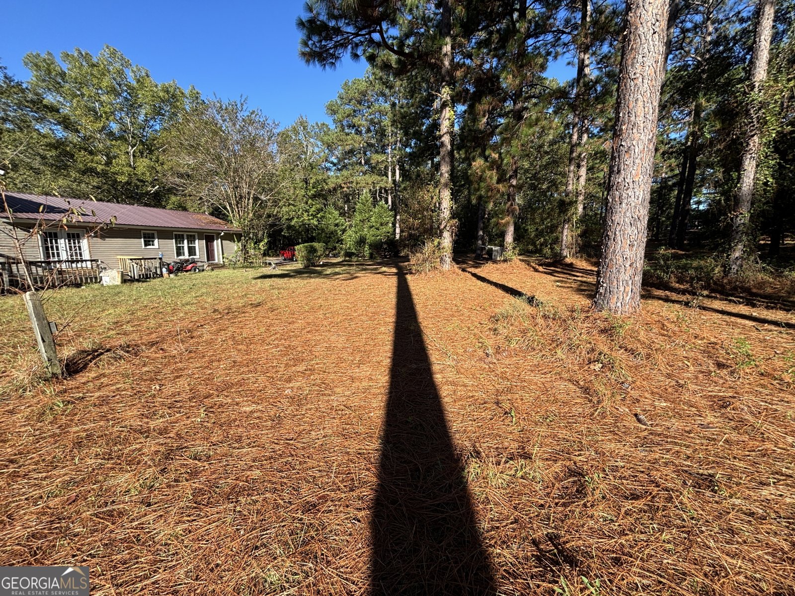 319 Country Club Road Cochran - 60