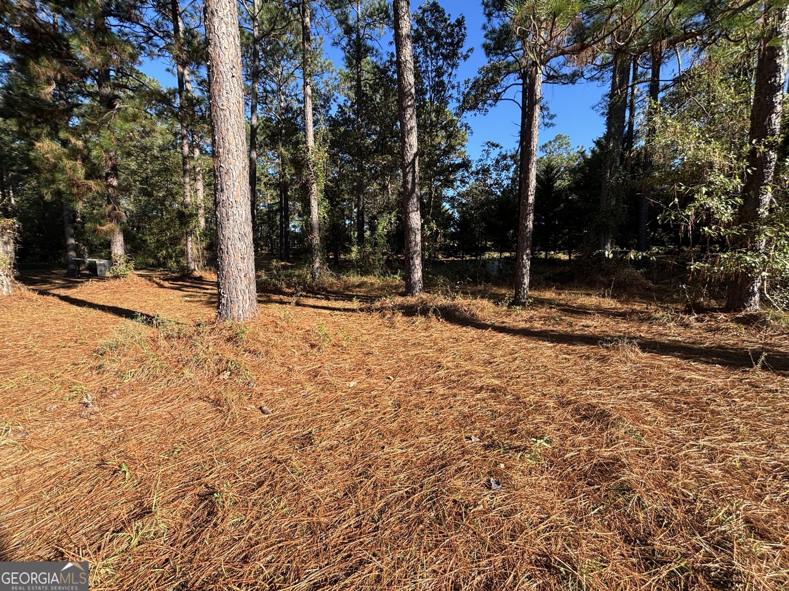 319 Country Club Road Cochran - 61