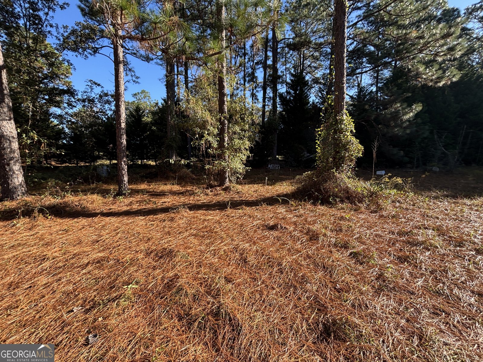 319 Country Club Road Cochran - 62