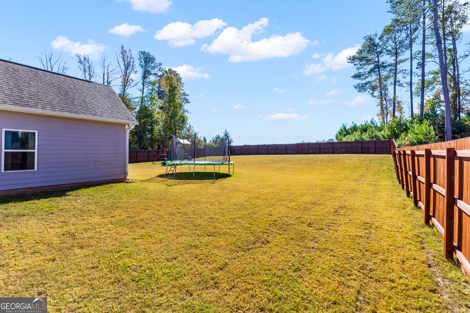 205 Duck Dr Senoia - 39
