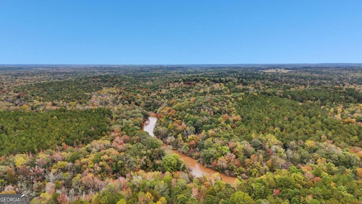 5467 Highway 162 Covington - 44