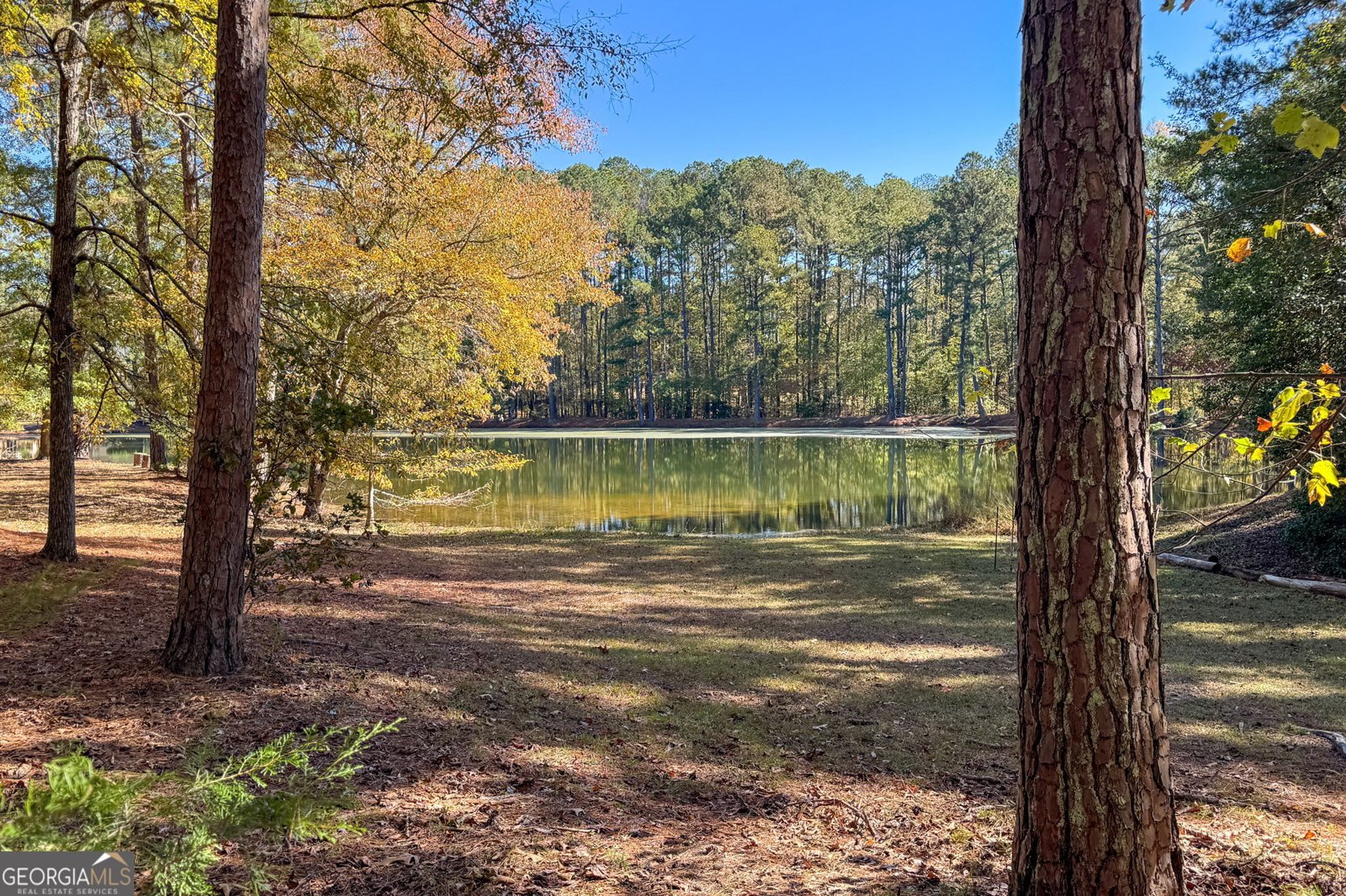 106 Cheshire Drive Griffin - 3