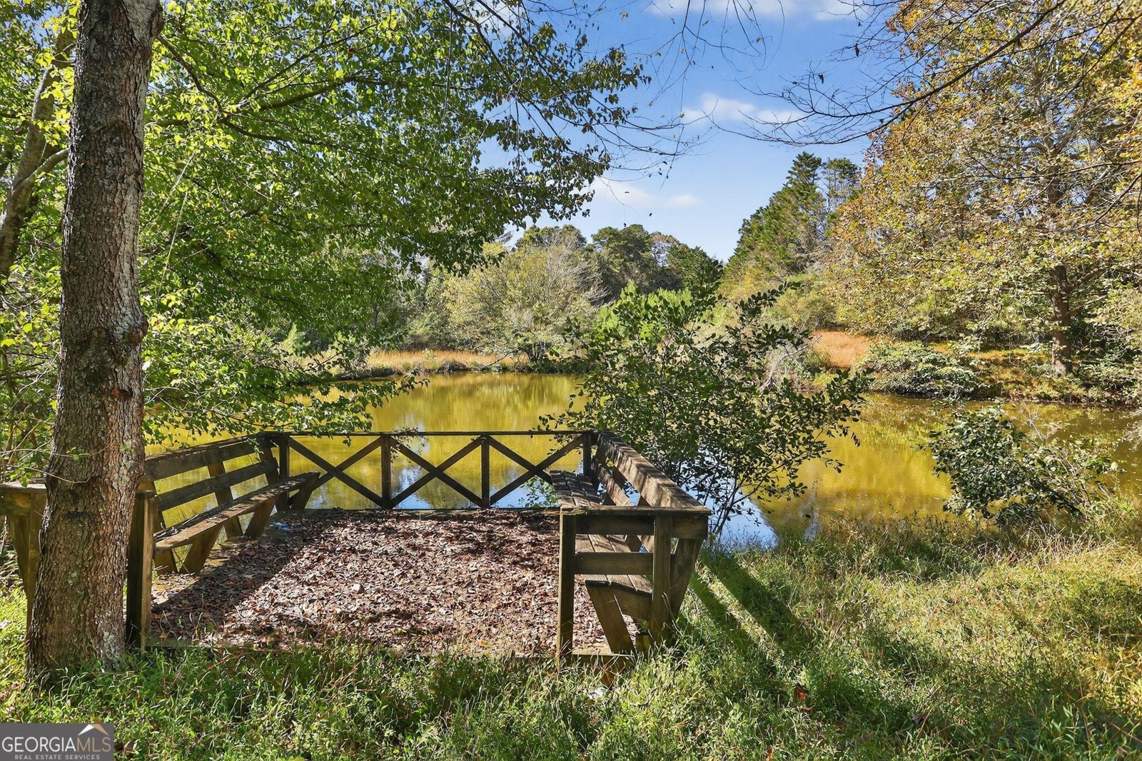 1930 Blackberry Mountain Road Ellijay - 5
