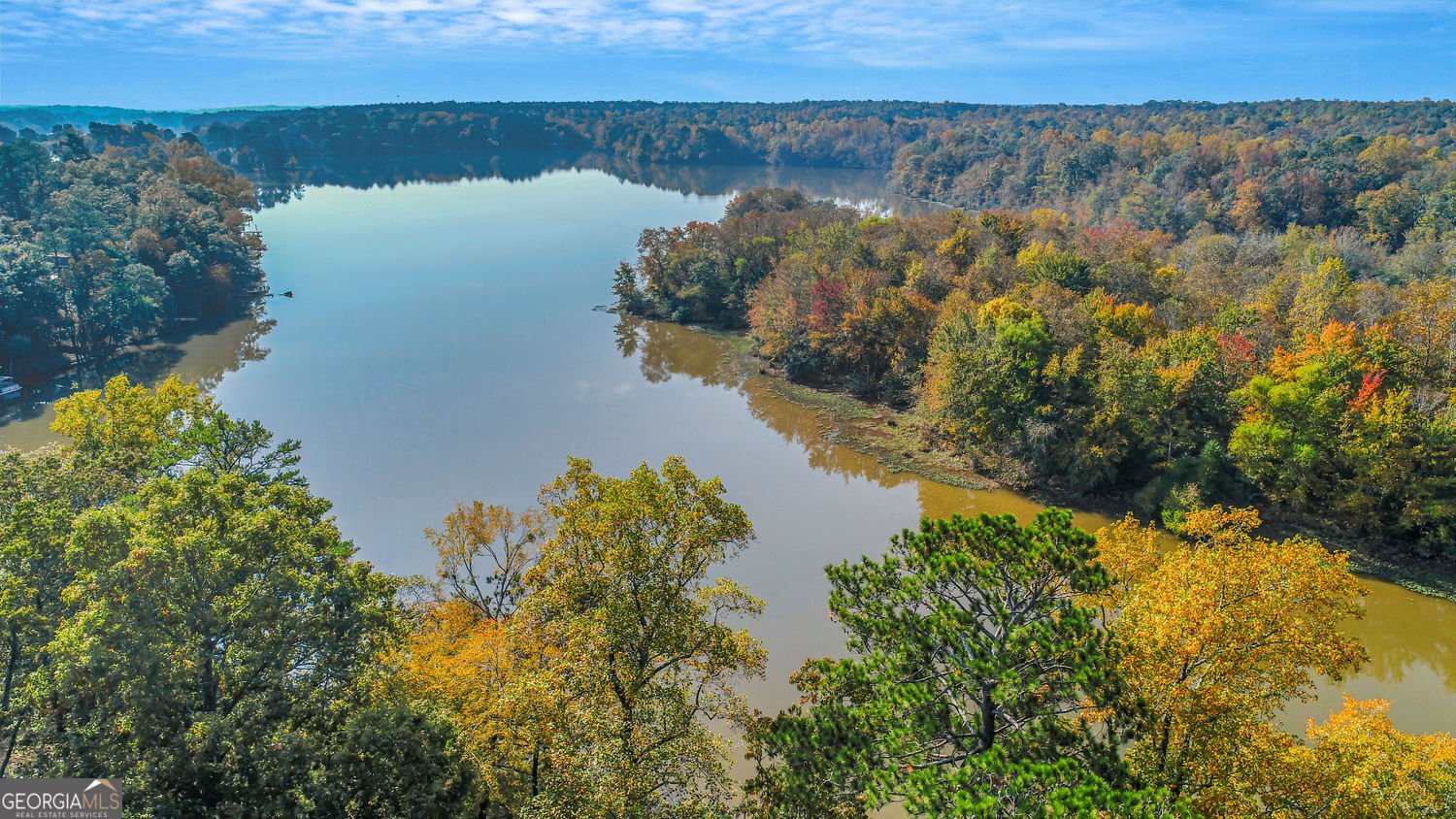 251 Weavers Lakefront Road Jackson - 2