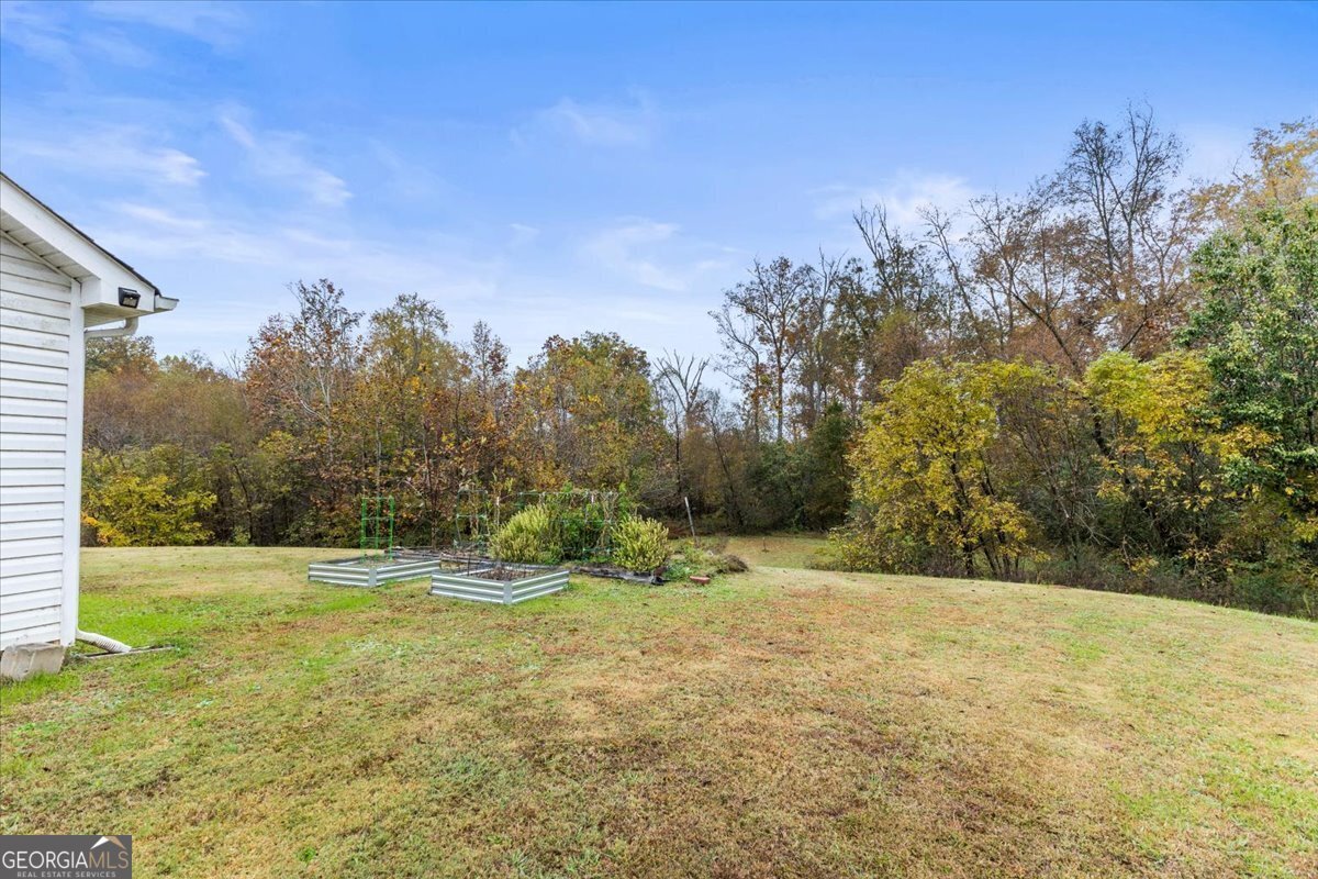 425 Creeks Jewell Drive Ringgold - 5