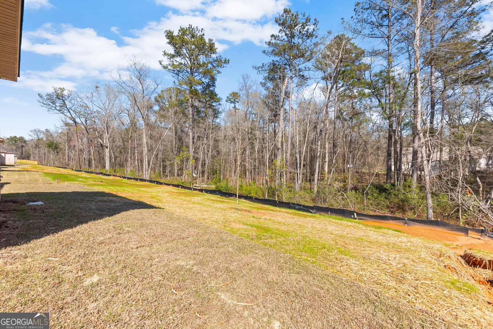 532 Bristleleaf Path Kathleen - Photo 43