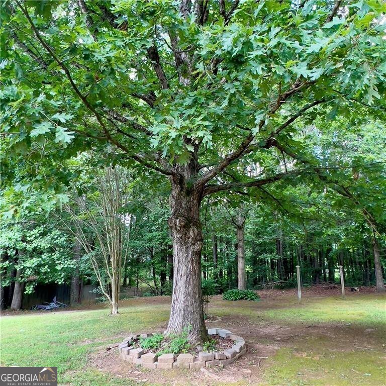 117 Wallace Way Rockmart - 12