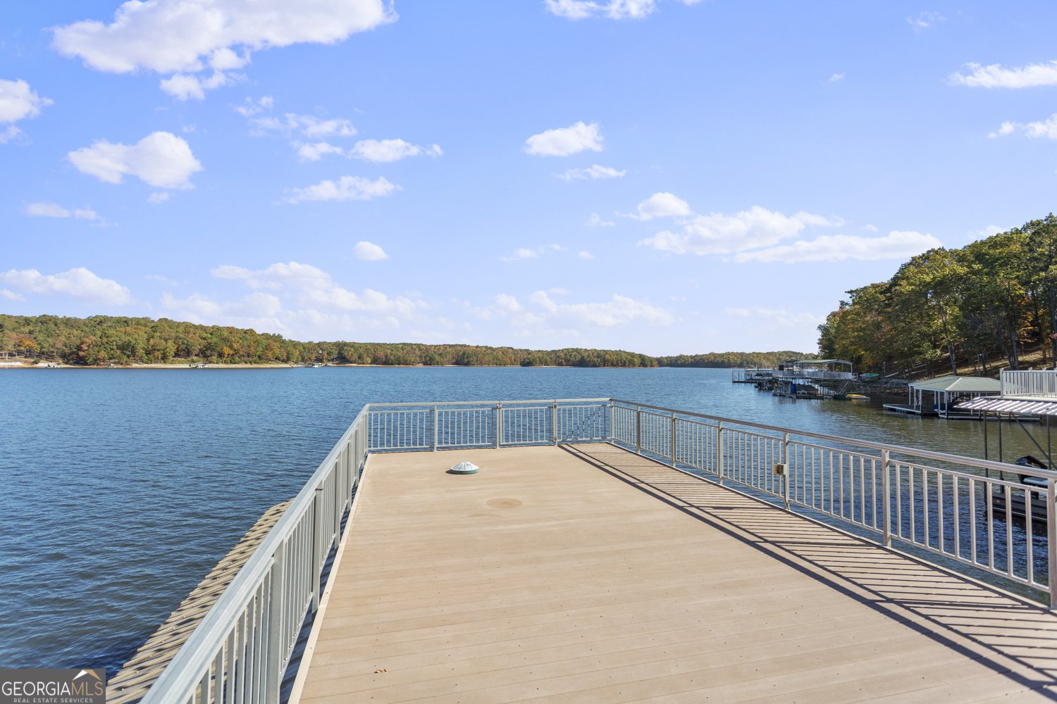 502 Mustang Drive Hartwell - 41