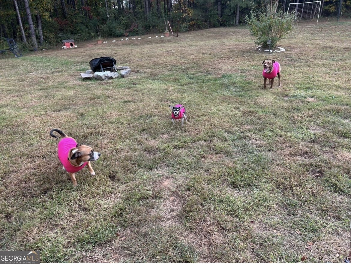 370 Parkmont Way Dallas - 5