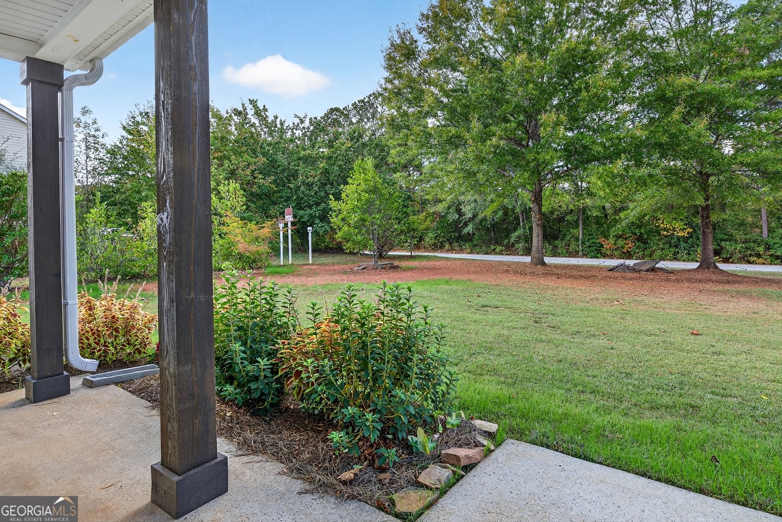 1250 Dolly Nixon Road Senoia - 2