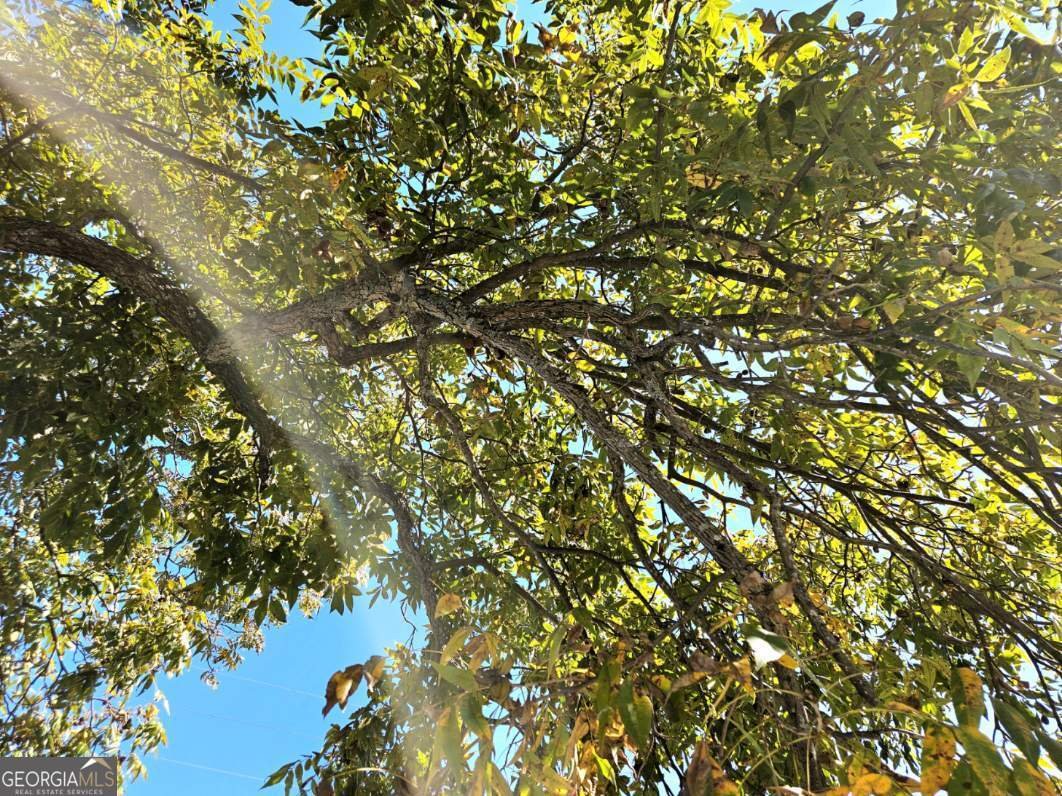 4261 Meritas Drive Columbus - 18