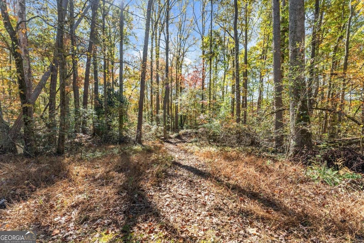 219 Stegall Place Dawsonville - 25