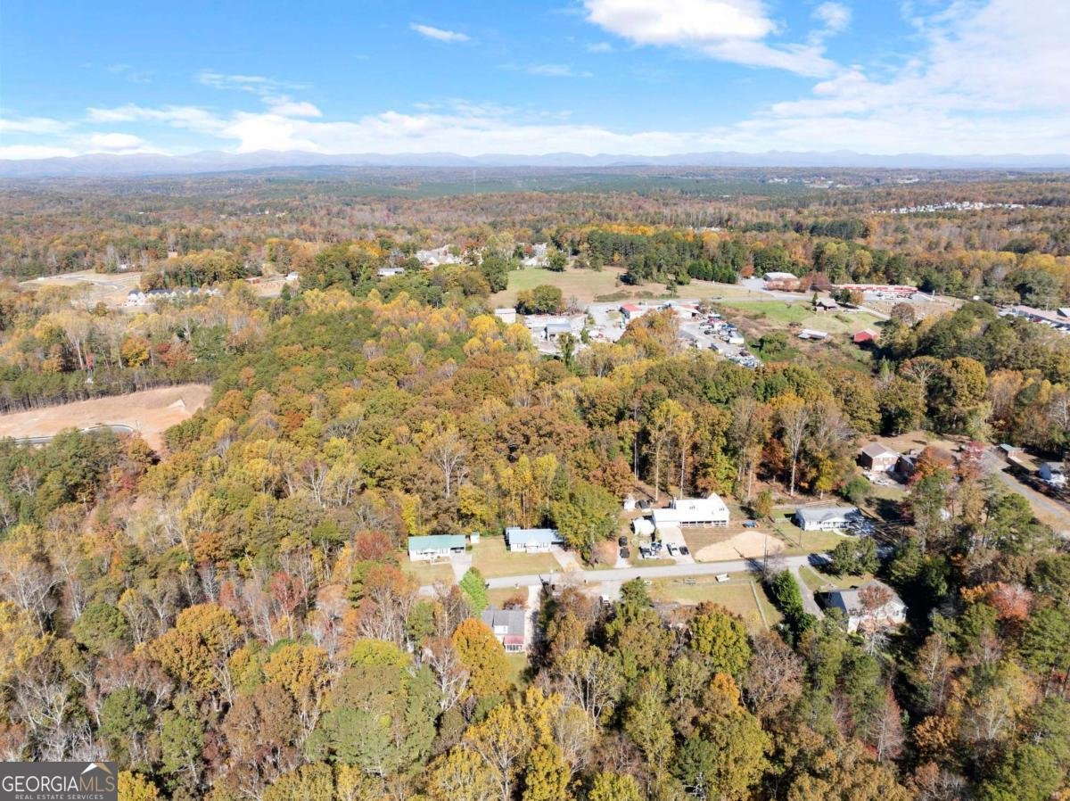 219 Stegall Place Dawsonville - 27