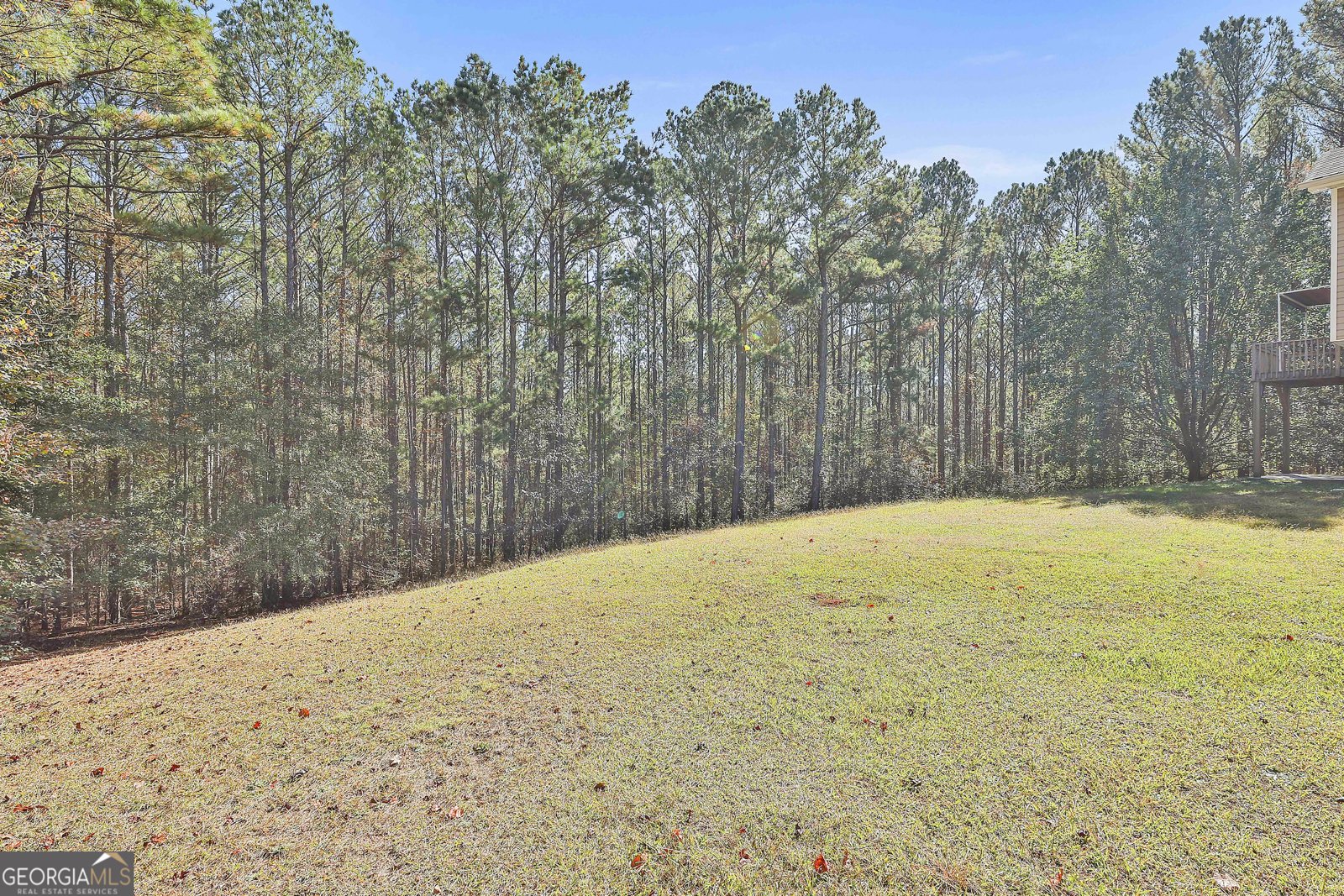 21 Sunset Ridge Way Newnan - 8