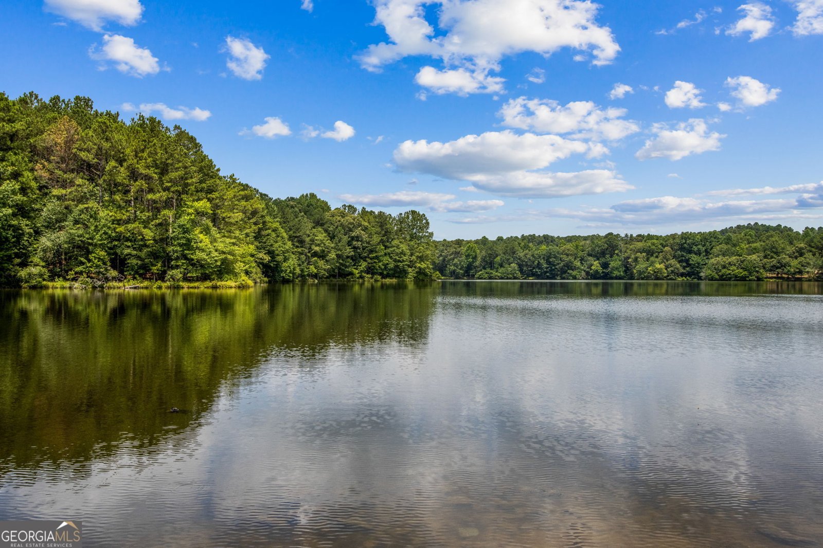 3083 Callie Still Lawrenceville - 55