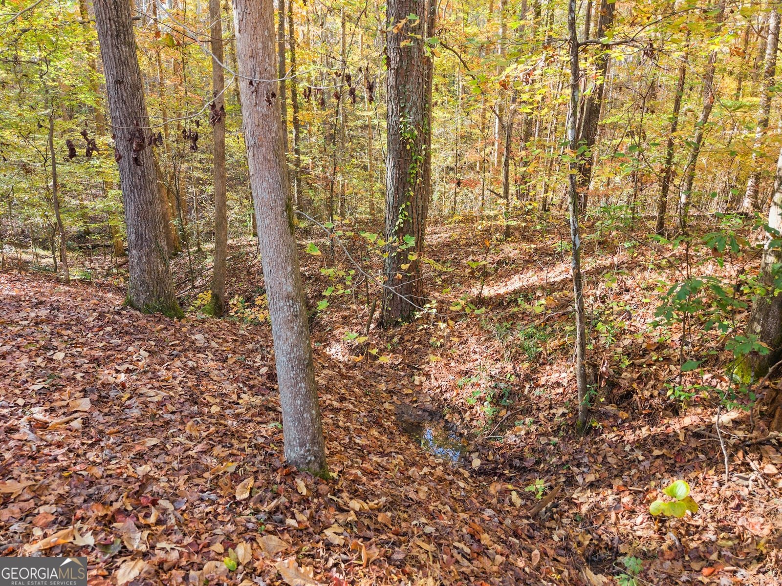 565 Brights Way Dawsonville - 44