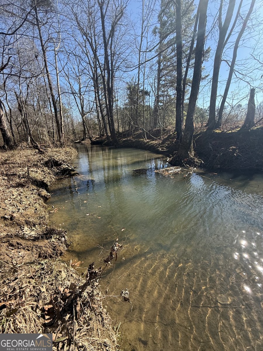 2053 Buttermilk Road Cave Spring - Photo 50