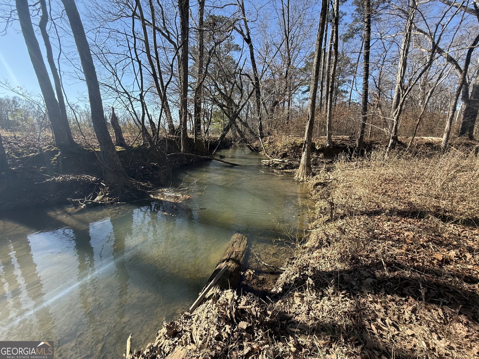 2053 Buttermilk Road Cave Spring - Photo 51