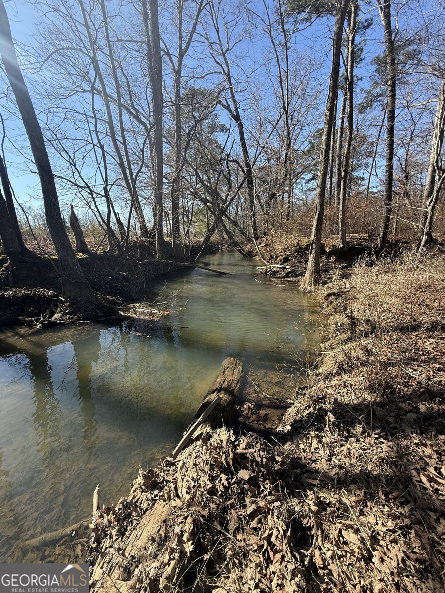 2053 Buttermilk Road Cave Spring - Photo 52