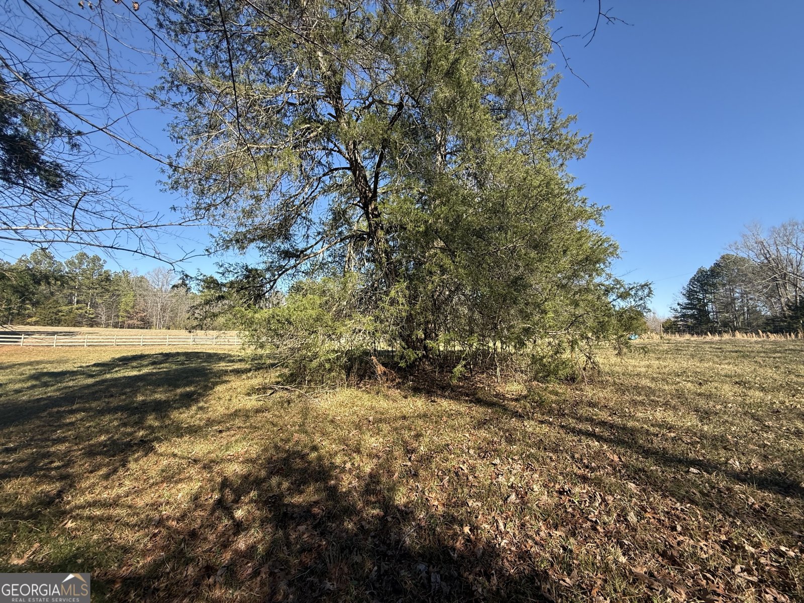 2053 Buttermilk Road Cave Spring - Photo 56
