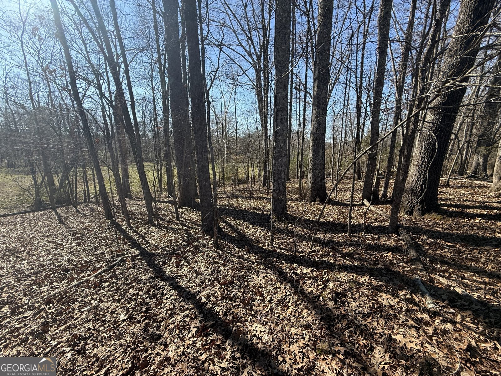 2053 Buttermilk Road Cave Spring - Photo 58