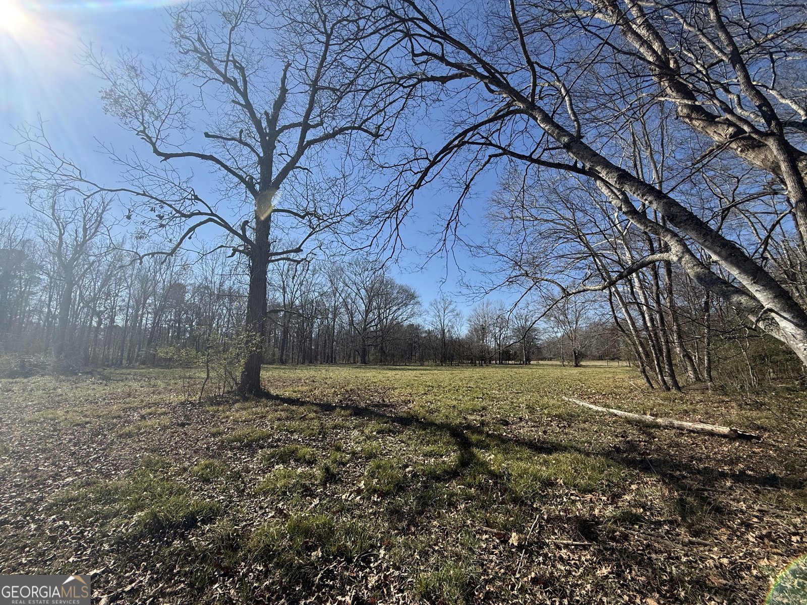 2053 Buttermilk Road Cave Spring - Photo 59